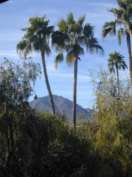 Camelback mountain and the setting