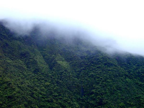 Kahakuloa valley the iridescent mist