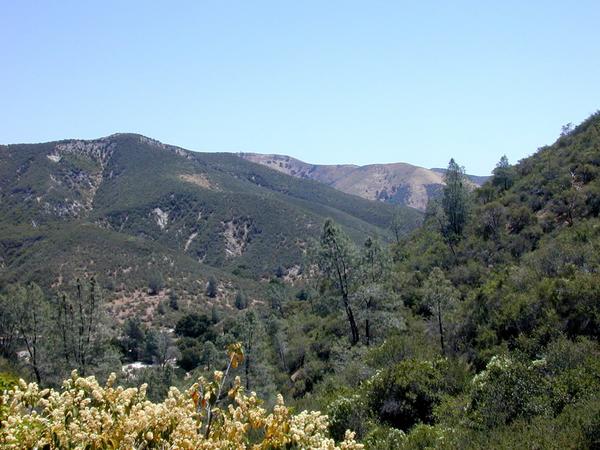 The pinnacles valley