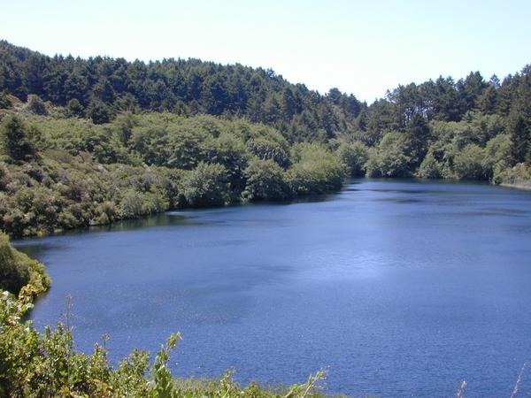 Bass lake 2