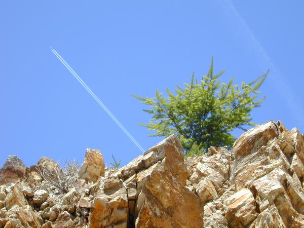 Pine, rocks and jet