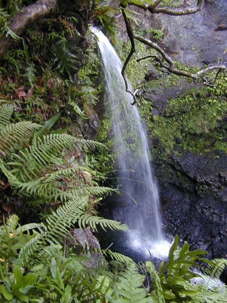 A stream falling into a pool