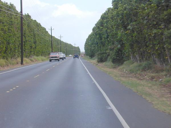 Driving to kahului