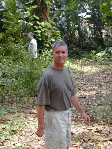 Kirk in the forest