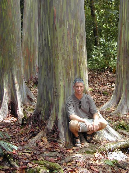 Kirk sitting under the rainbow gum tree