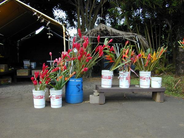 One of the many flower stands
