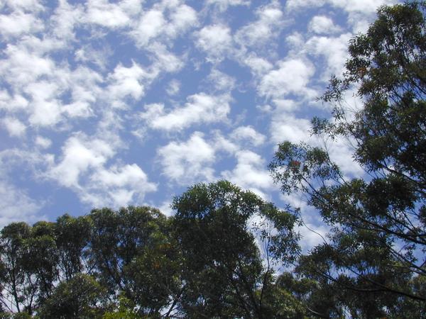 The sky really looked like this