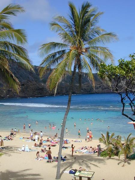 Picture perfect in hanauma bay