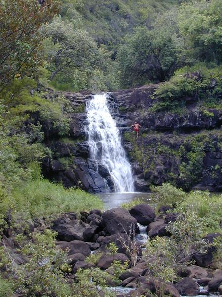 Waimea falls cliff diving