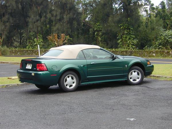 Our mustang at the pali lookout