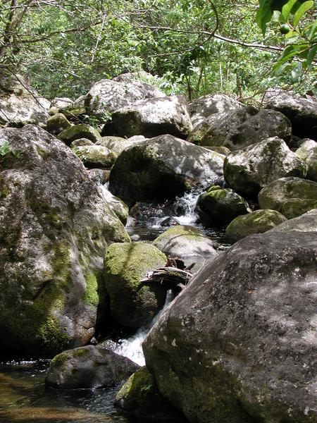 Crossing the stream