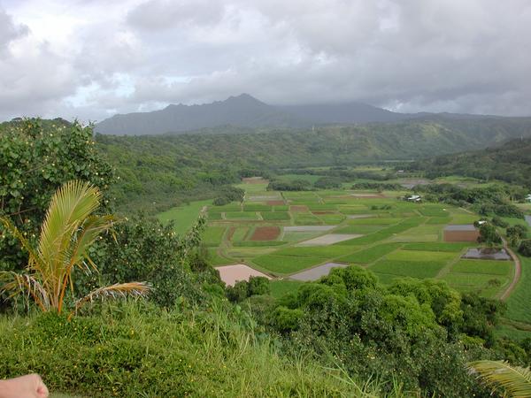 Looking down hanalei valley 1