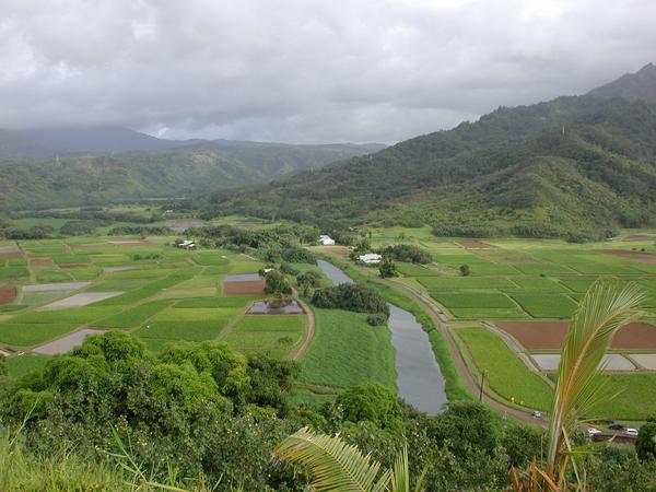 Looking down hanalei valley 2