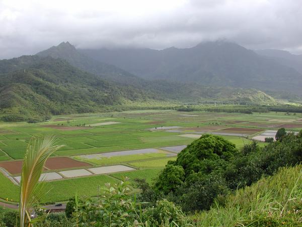 Looking down hanalei valley 3
