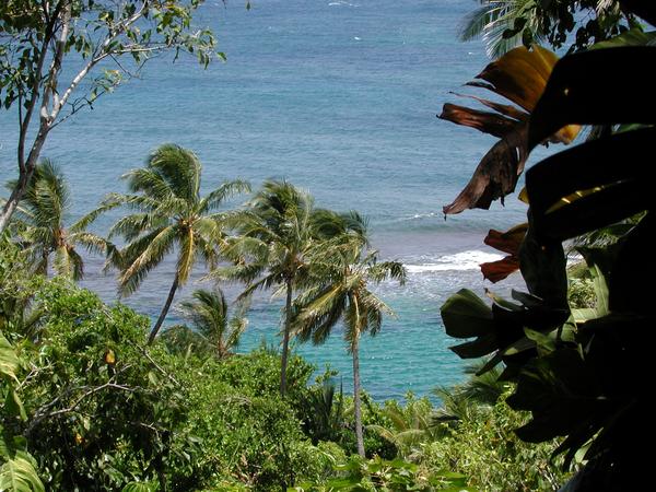 Looking down to the sea