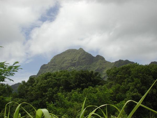 Pali from the highway
