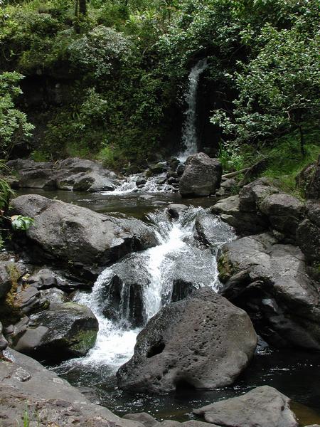 Sparkling waters