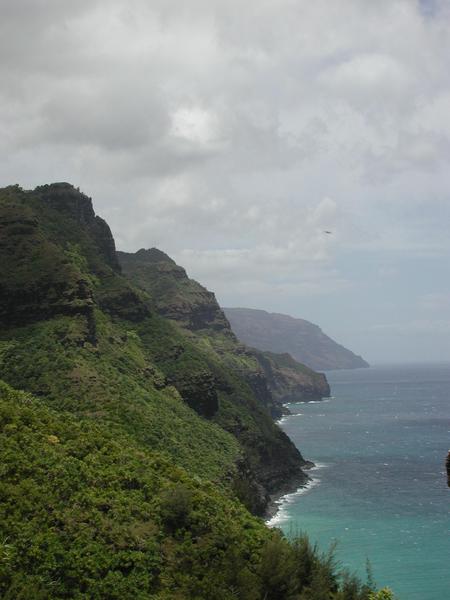 The green coast
