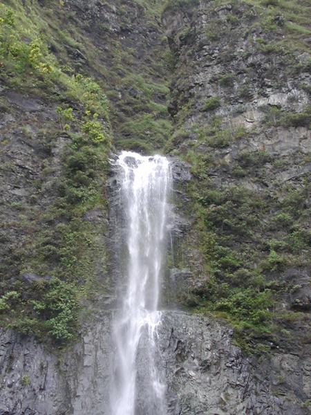 The lacy ledge