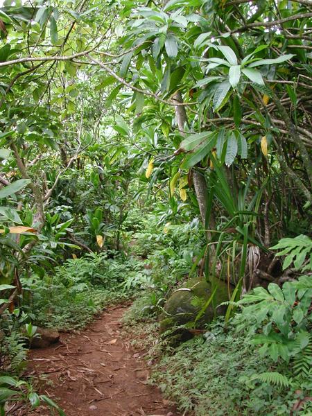 The trail gets lost