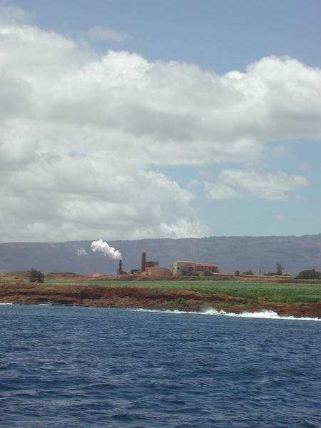The cane sugar factory