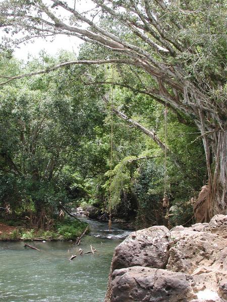 Idyllic ropes