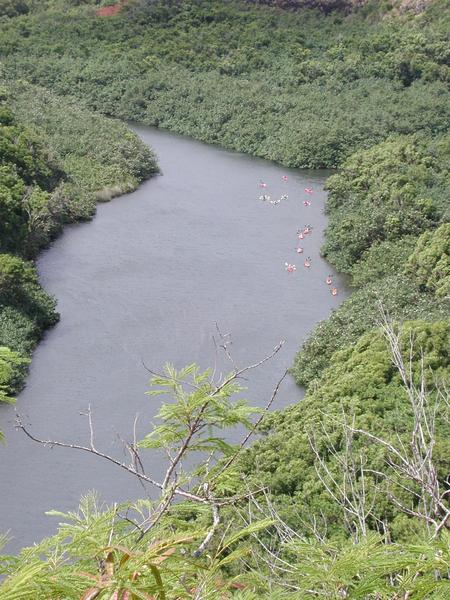 Kayaks in the wailua river