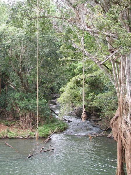 The rope swing