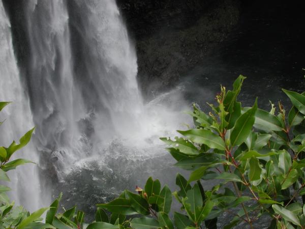 Wailua falls bottom