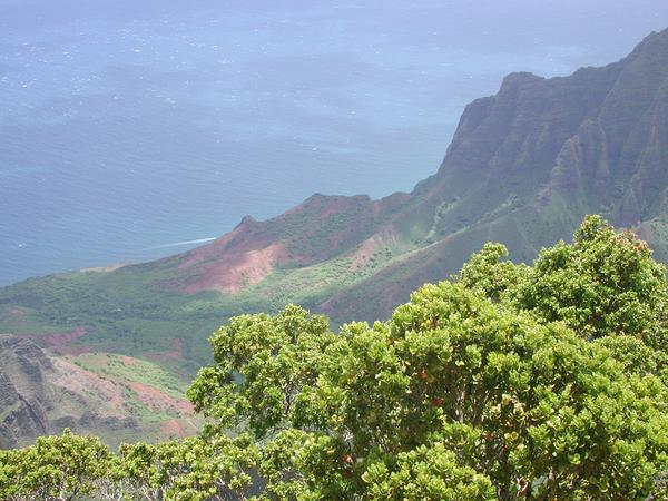 15 kalalau and its many colors