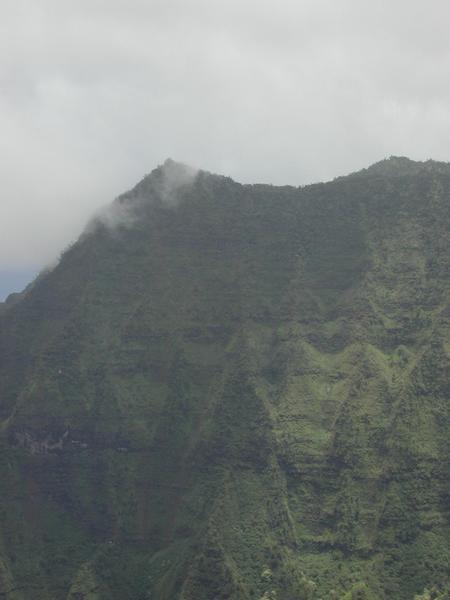 18 the pali in the waialeale mist