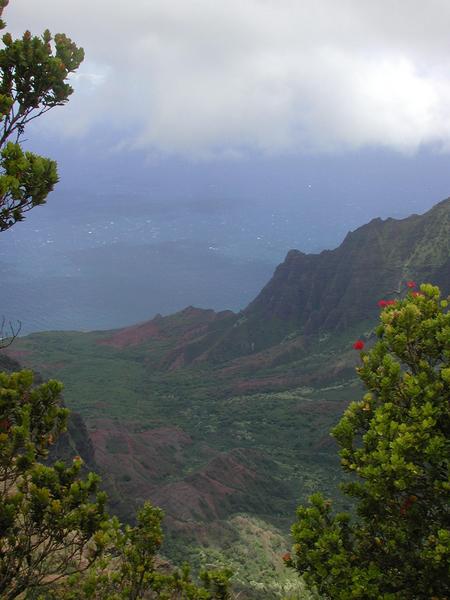 20 idyllic view of kalalau valley
