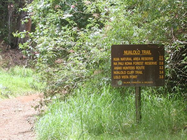 23 starting on the nualolo trail