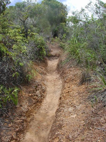 26 dry, the trail starts being in a ditch