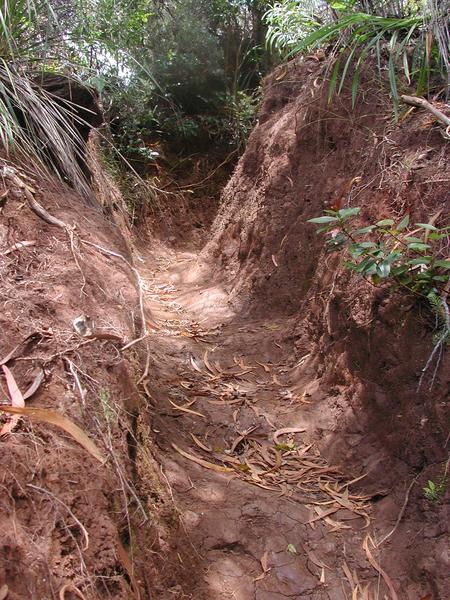 30 the ditch is really deep and steep