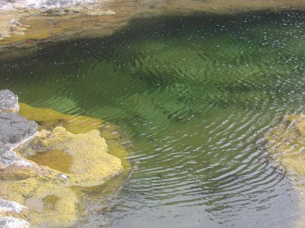 A green pool in the lava