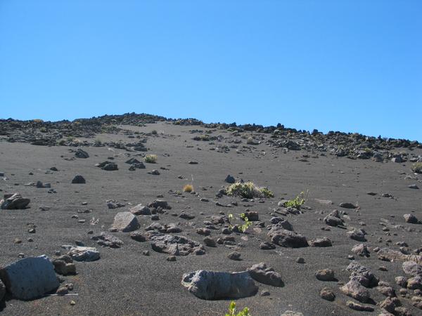 11 33 the prairie turns into desert towards the summit