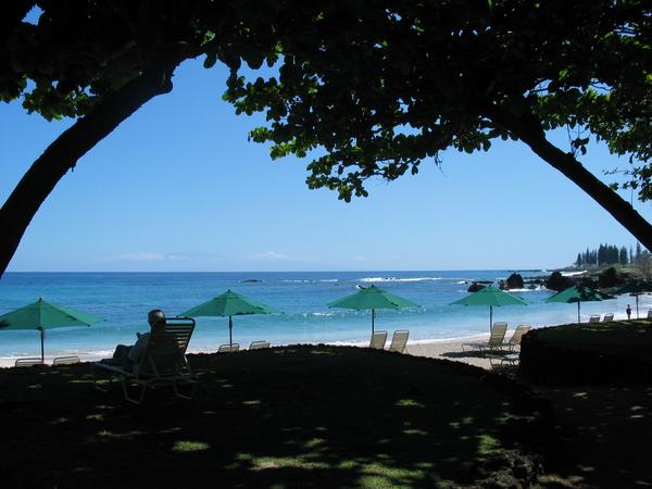Through the trees, looking at hamoa
