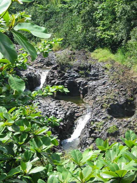 Water and green