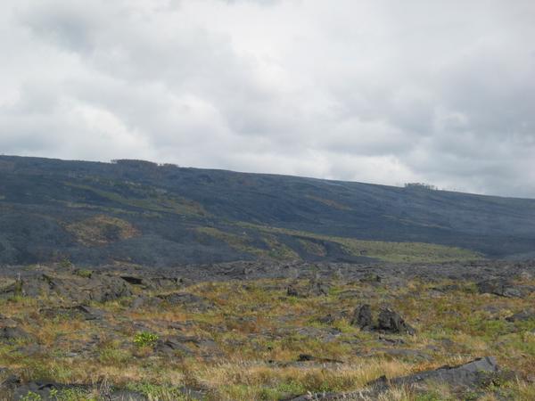 Rivers of lava frozen on the pali
