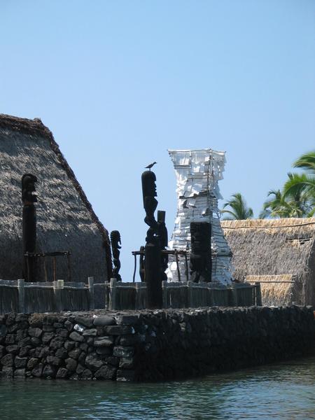Ahuena heiau notice the plover