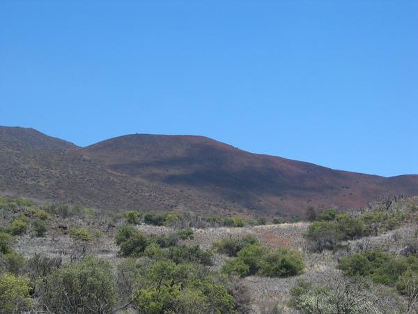 Mauna kea cinder cone