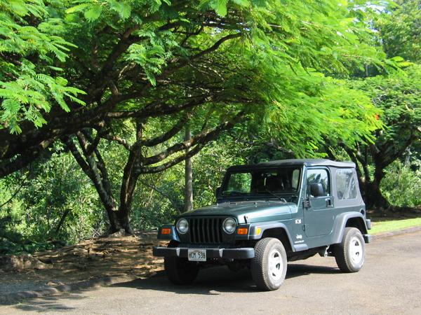 The jeep at waikaumalo park