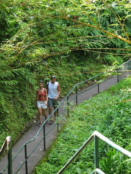 Visitors at akaka