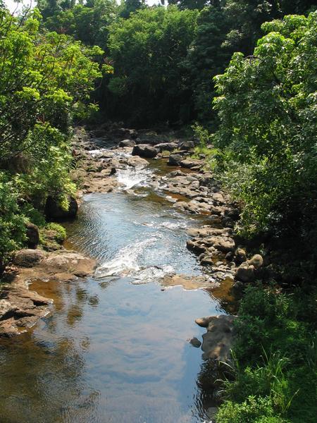 Waikaumalo stream heading into the ocean