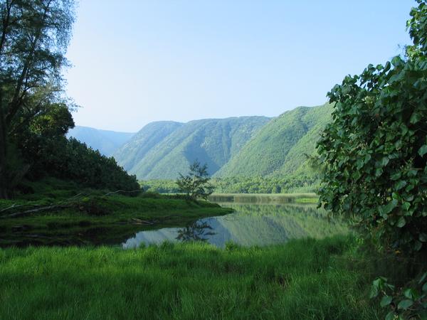 The bottom is paradise