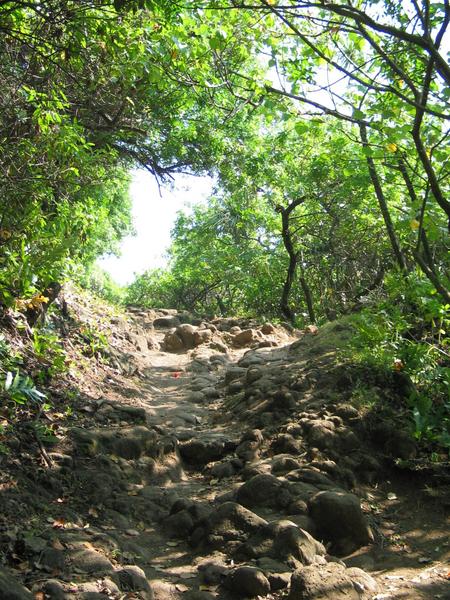 Walking back up