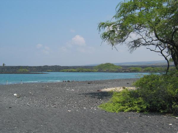 Looking at puako