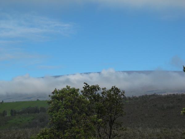 All of mauna loa
