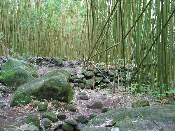 13 crossings the bamboo ruins